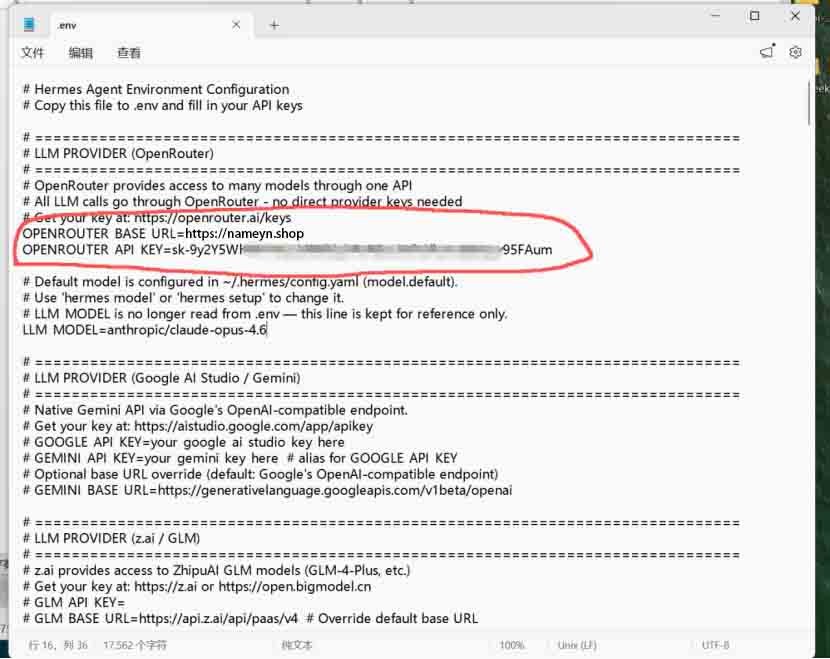 更改BASE_URL和添加API_KEY